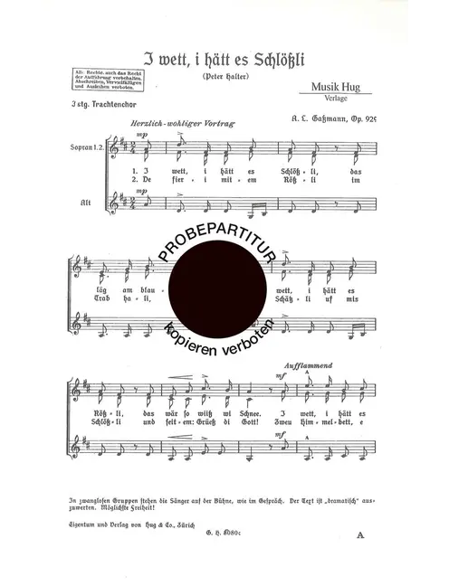 I wett i hätt es Schlössli